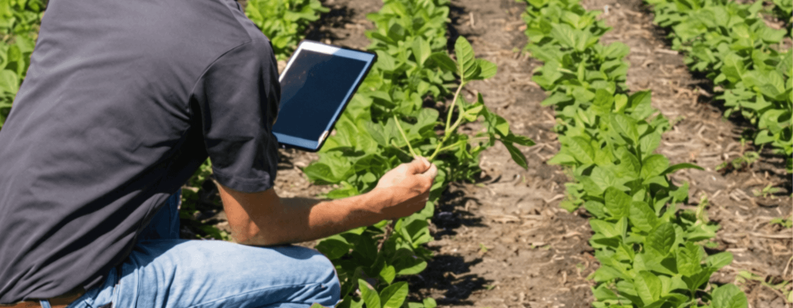 Plan de formación para la modernización del sector agrario